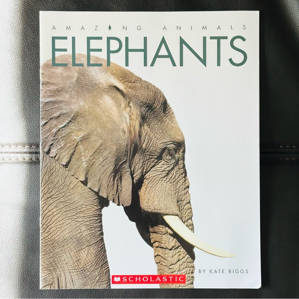 Amazing Animals Elephants 🐘 Scholastic Paperback Book